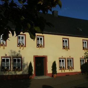 Snug Apartment In Morbach-Riedenburg With Terrace Thalfang Exterior photo