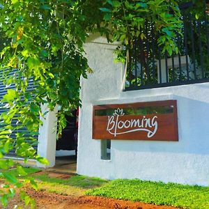 Blooming Holiday Resort Anurâdhapura Exterior photo