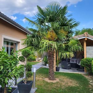 Appartement La Datcha D'Elena à La Chapelle-de-Guinchay Exterior photo