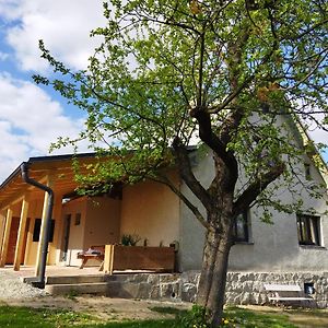 Appartement Ubytovani V Sadu à Stara Cervena Voda Exterior photo