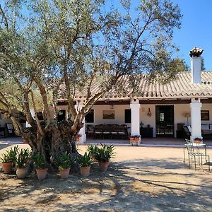 Villa Casa De Campo - Cortijo El Palomar à Alcántara Exterior photo