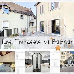 Appartement Les Terrasses Du Bouchon à Troyes Exterior photo