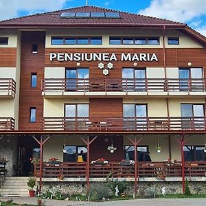 Hotel Pensiunea Maria à Gilău Exterior photo