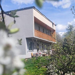 Hôtel Ruzova Vila à Banská Štiavnica Exterior photo