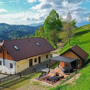 Villa Richterberg With Sauna & Hot Tub Slovenj Gradec Exterior photo