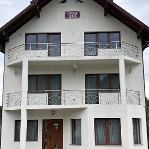Villa Casa Rus à Leordina Exterior photo