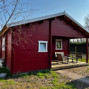 Lodge On The Campsite Oostvoorne Exterior photo