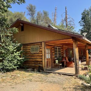 Hôtel Bear Creek Cabins à Midpines Exterior photo