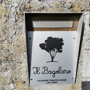 Villa Il Bagolaro à Feriole Exterior photo
