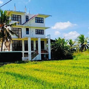 Hotel Freedom Of Green Rice View à Anurâdhapura Exterior photo