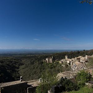 Villa Chateau Le Camigne, Vue Pyrenees à Saissac Exterior photo