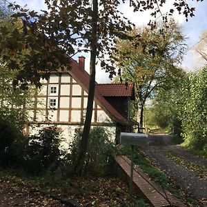 Appartement In Der Wassermuehle à Melle Exterior photo