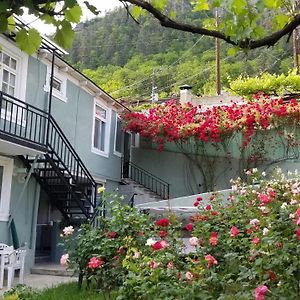 Guest House Green Rose Bordjomi Exterior photo