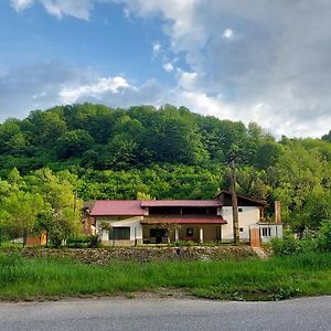 Villa Transilvania 10 - Casa Poarta Vaii Jiului à Petroşani Exterior photo