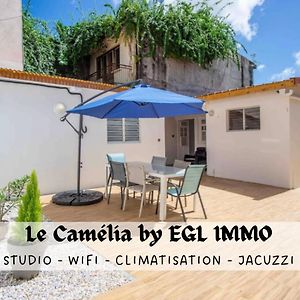 Appartement Le Camelia - Gite "Terre Et Truffes" à Le Lamentin Exterior photo