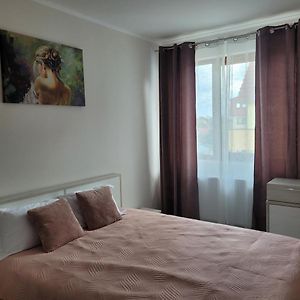 Appartement Amparo à Satu Mare Exterior photo