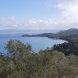 Hotel Porquerolles - Nuit insolite à bord du Défi Fou Exterior photo