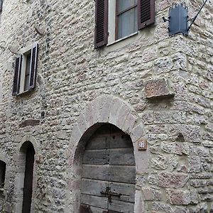 Appartement Casa Momo à Montecchio  Exterior photo