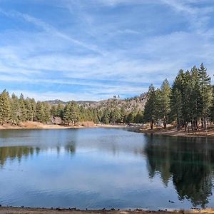 Villa Hidden Jewel Of San Bernardino Mountains à Green Valley Lake Exterior photo