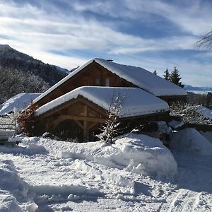 Bed and Breakfast Le Chalet De Doucy Bardet à Habère-Poche Exterior photo