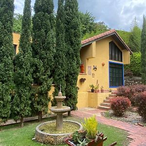Villa Finca Australia à Quebradanegra Exterior photo
