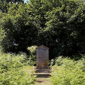 Villa Dingle Glenn Secluded Woodland Shepherds Hut à Ashburton Exterior photo