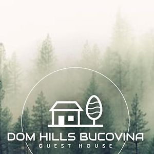 Hôtel Dom Hills Bucovina à Gura Humorului Exterior photo