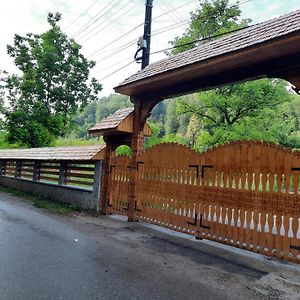 Pensiunea Micul Maramures Adunati Exterior photo