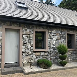 Villa Siog à Oughterard Exterior photo