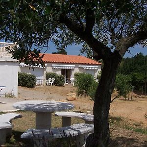 Le Fenouillet Chambres D'hotes Narbonne Exterior photo