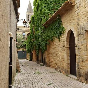 Appartement Entre Uzes Et Le Pont-Du-Gard Le Logis D'Autrefois à Castillon-du-Gard Exterior photo