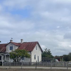 Villa 12Bed House With Poolarea Hablingbo South Gotland à Havdhem Exterior photo