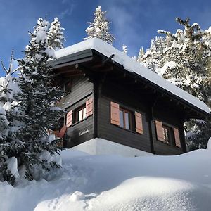 Appartement Chalet Eichhornli, Riederalp Golmenegg Exterior photo