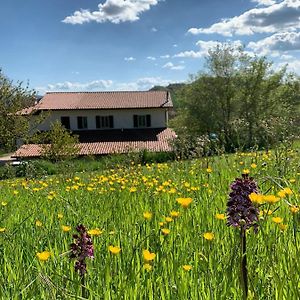 Bed and Breakfast Butterflies Rest à Gubbio Exterior photo