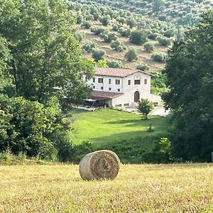 Bed and Breakfast L'Antica Tenuta à Montemaggiore  Exterior photo