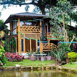 Hotel Casa Del Arbol, Romantico, Piscina, En Chinauta, El Mejor Clima à El Michu Exterior photo