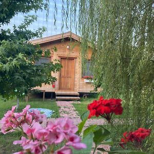 Bed and Breakfast Inlice Uenzile Bungalow Inlice Kamp à Fethiye Exterior photo