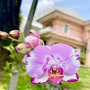 Flower House Villa Bogor Exterior photo