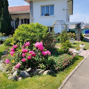 Bed and Breakfast Chambre D'Hotes Les Hortensias à Gelos Exterior photo