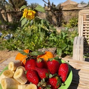 Bed and Breakfast Domed Bedouin Chalet à Al Hayz Exterior photo