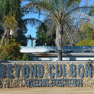 Hotel Beyond Cui Bono à Sunland Exterior photo