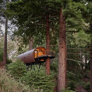 Villa ~* The Spectacular Spyglass Treehouse *~ à Occidental Exterior photo