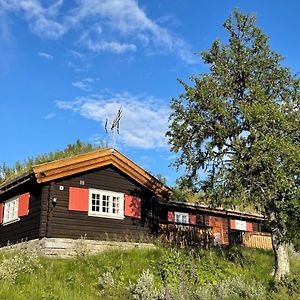 Villa Elveseter - Log Cabin With An Amazing View à Lunde  Exterior photo