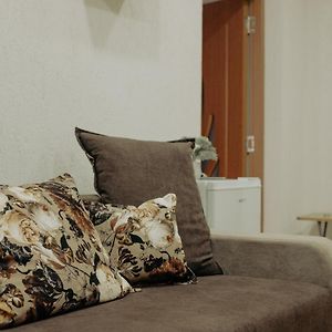 Appartement Flat In Petroşani Exterior photo