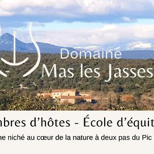 Mas Les Jasses Chambre D'Hote Calme Et Agreable A La Campagne Ferrières-les-Verreries Exterior photo