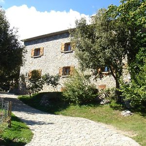 Bed and Breakfast Chambre d'Hôte Chez Antoinette et Charles à Santo-Pietro-di-Venaco Exterior photo