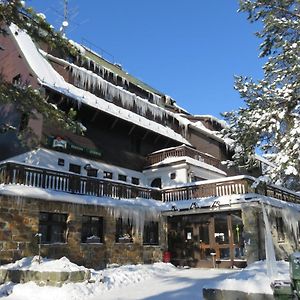 Hotel Penzion Sykovec à Tři Studně Exterior photo