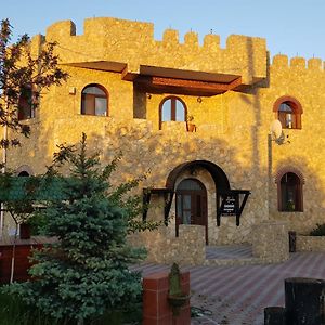 Hotel Royal Castle à Pascani Exterior photo