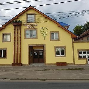 Hotel Hanul Lui Ionut à Satu Mare Exterior photo