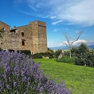 Villa Medieval Tower In Umbria With Swimming Pool à Montelagello Exterior photo